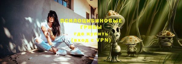 дживик Нея