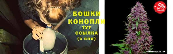 а пвп мука Абаза