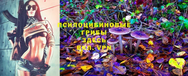 дживик Нея